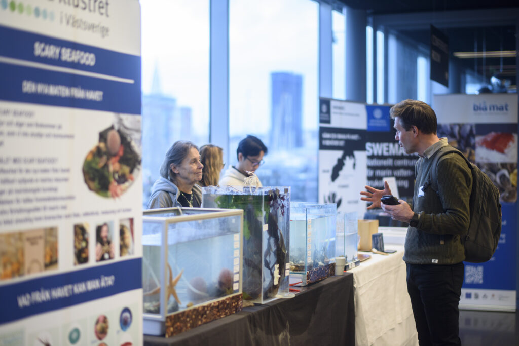 Blue Mission Banos-5873